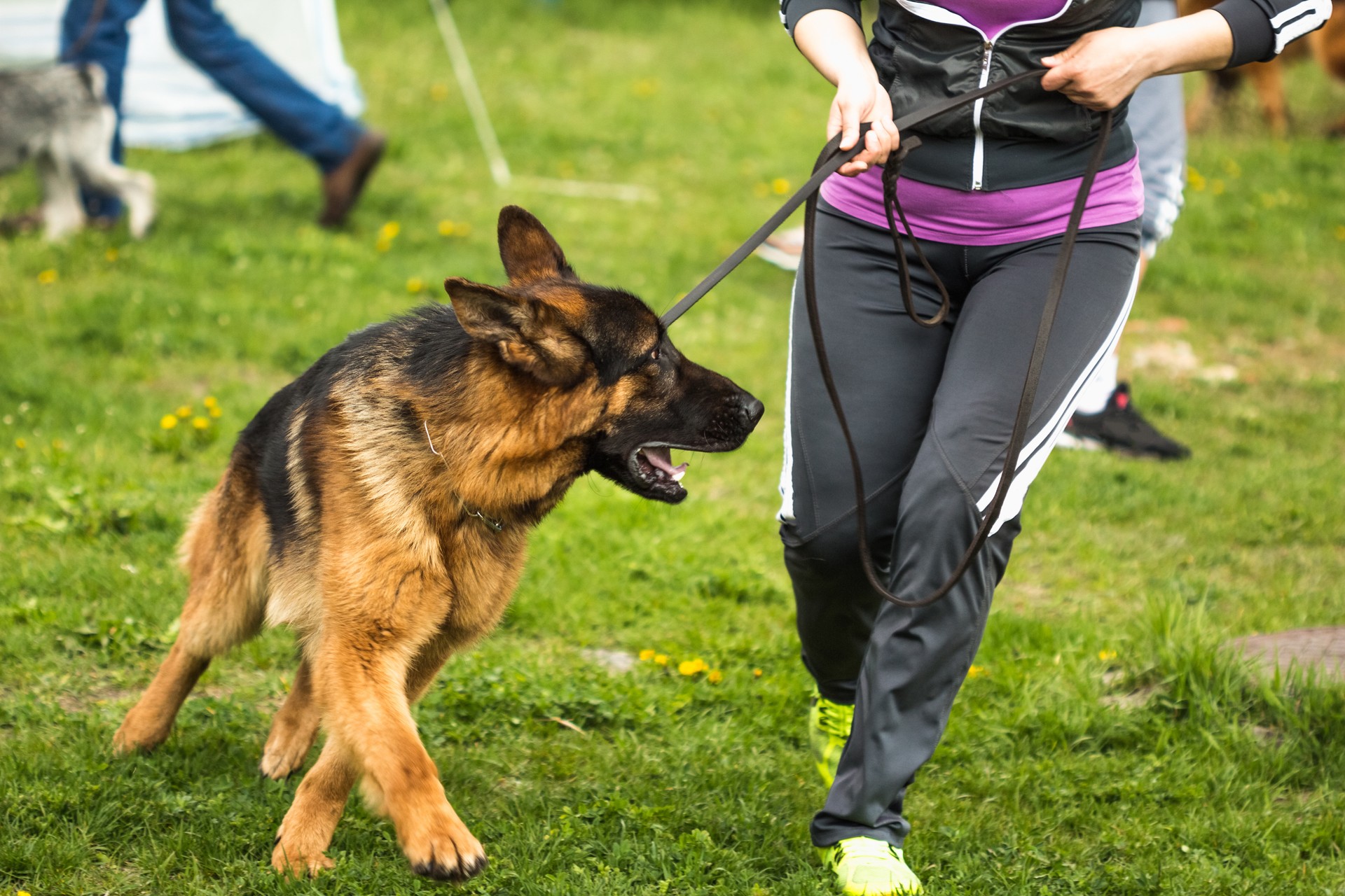 A man with a German shepherd on a leash