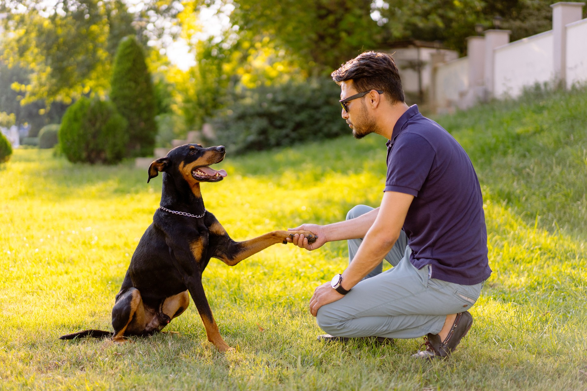 Man training a dog